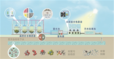 會(huì)發(fā)電、可處理廢水,還能精準(zhǔn)釋放農(nóng)藥 智慧大棚化身降碳多面手